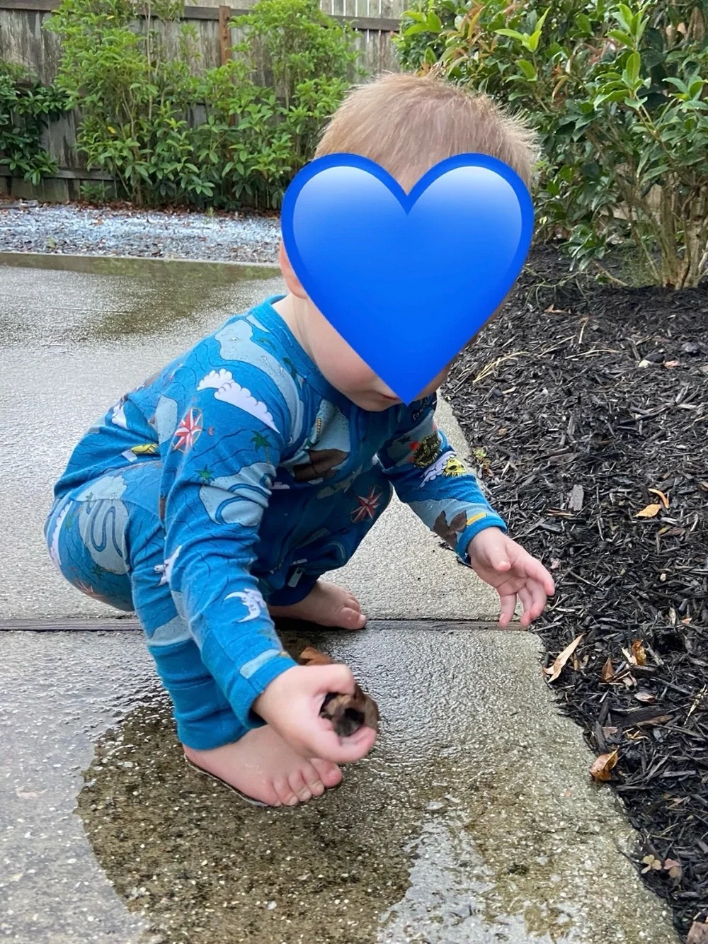 Bonds Blue Pirate Map Zippy Pjs 6-12m